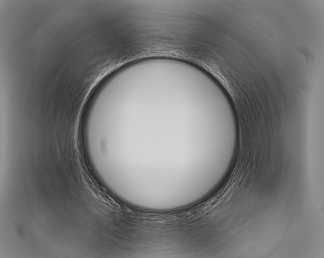 X0000111480579200907141044