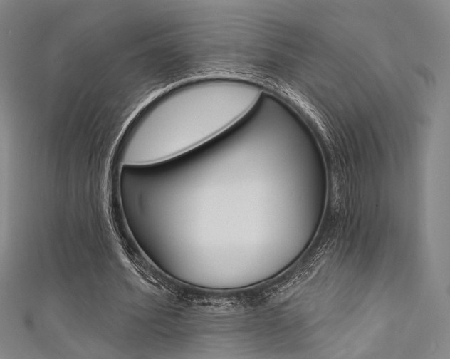 X0000111480580200907141044