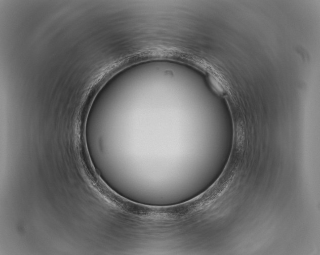 X0000111480581200907141044