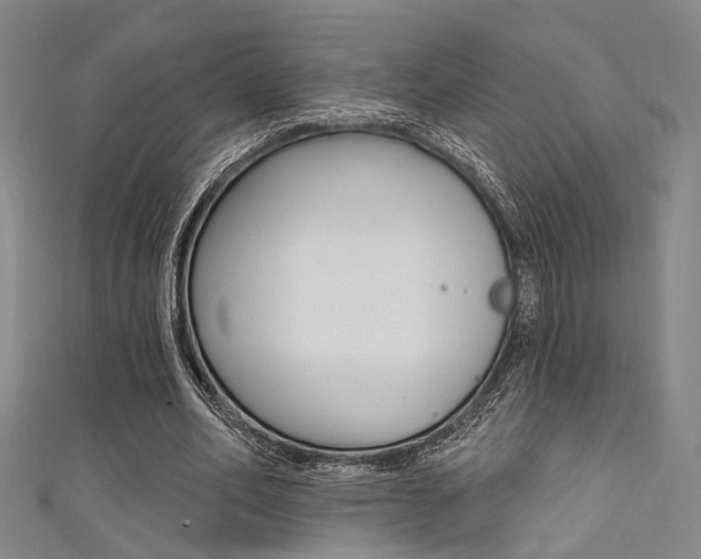 X0000111480582200907141044