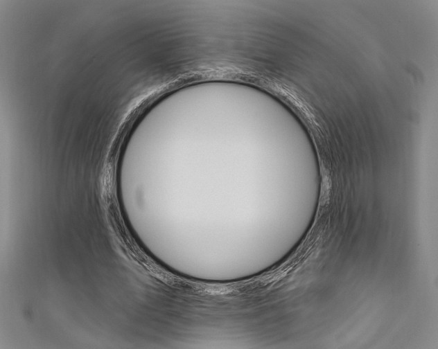 X0000111480583200907141044