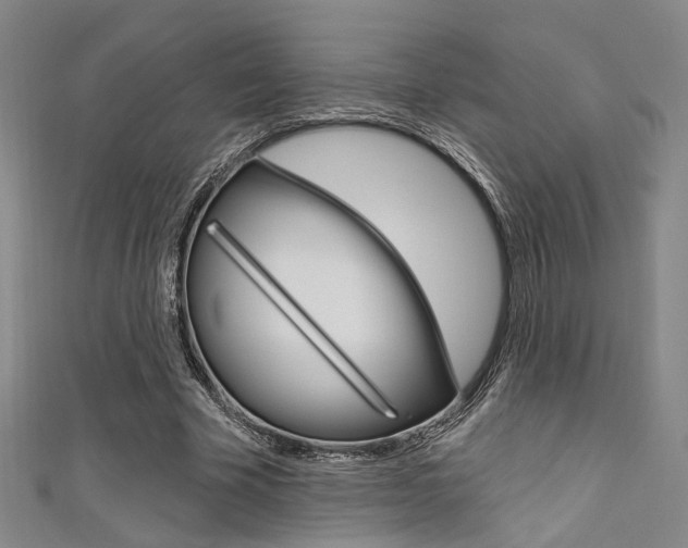 X0000111480585200907141044