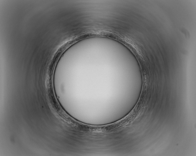 X0000111480587200907141044