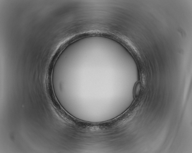 X0000111480588200907141044