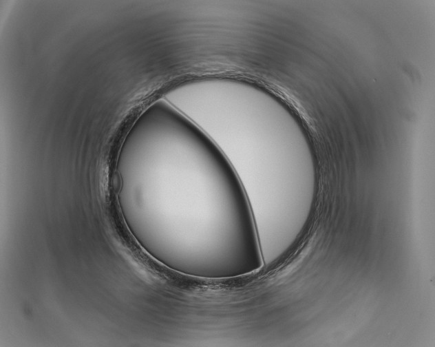 X0000111480589200907141044