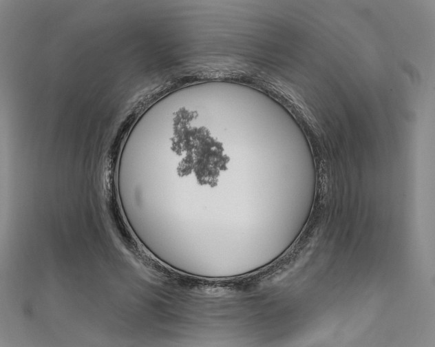 X0000111480590200907141044