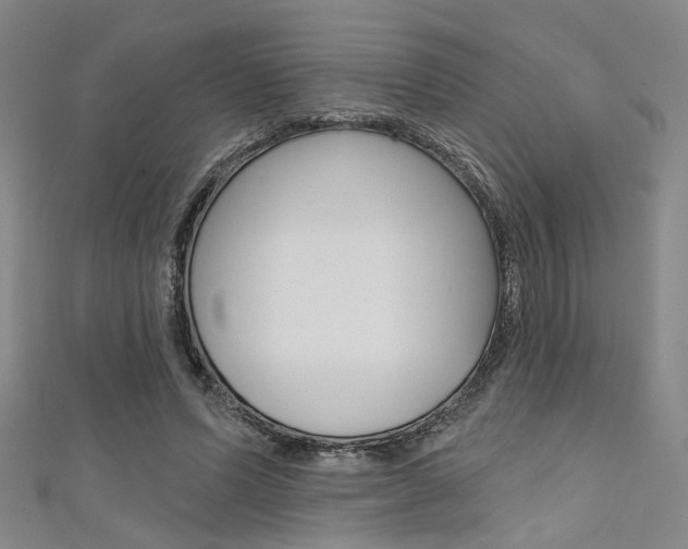 X0000111480591200907141044