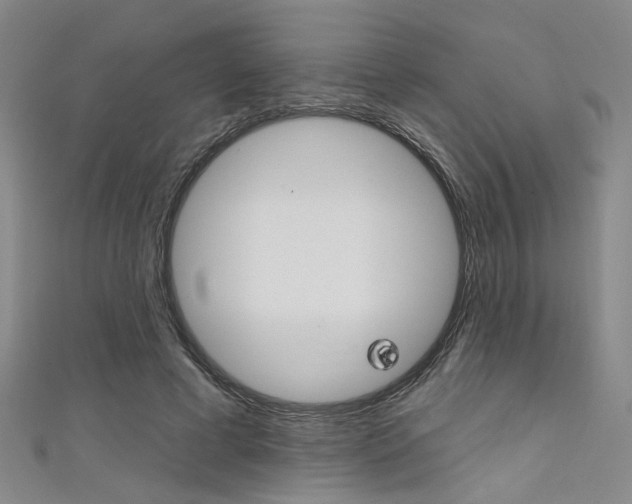 X0000111480593200907141044