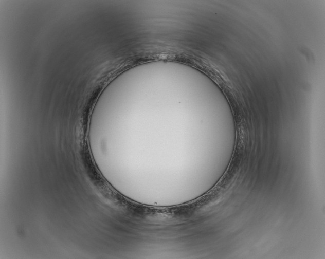 X0000111480594200907141044