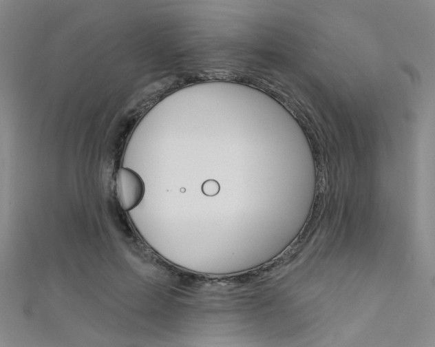 X0000111480599200907141044