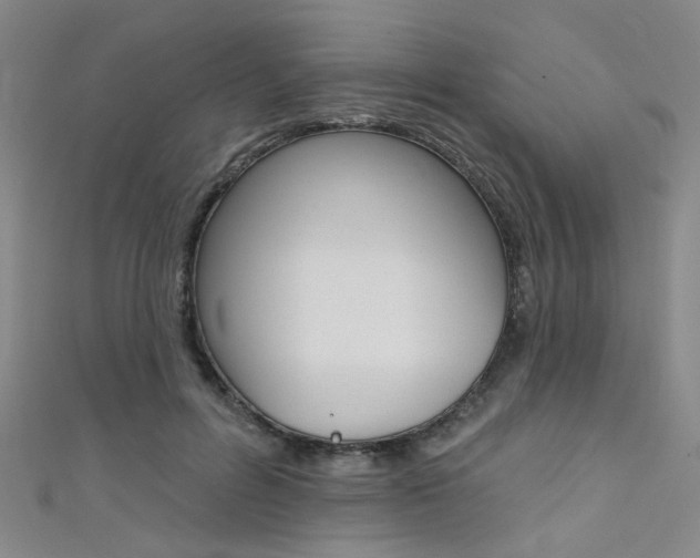 X0000111480600200907141044
