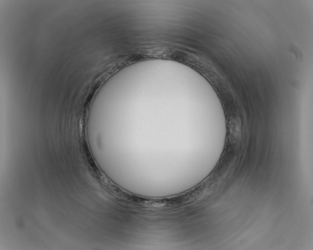 X0000111480602200907141044