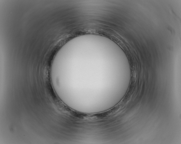 X0000111480603200907141044