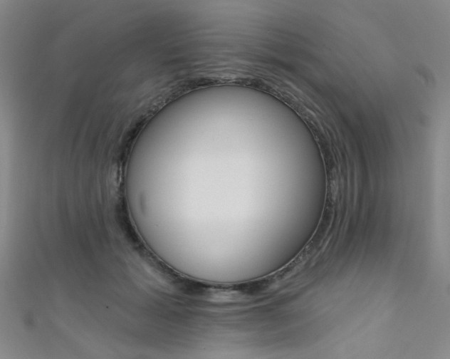 X0000111480605200907141044