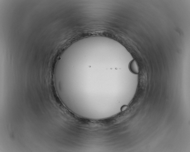 X0000111480608200907141044
