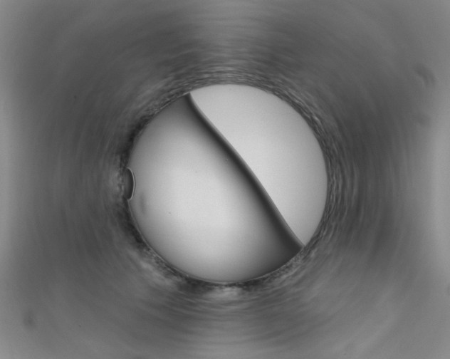 X0000111480609200907141044