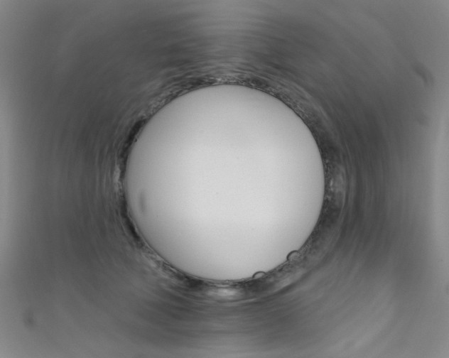 X0000111480610200907141044