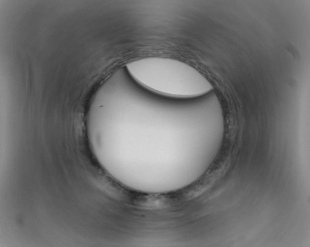 X0000111480612200907141044