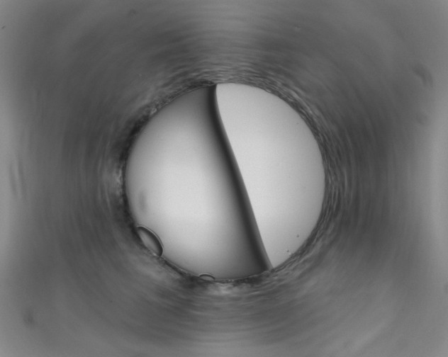X0000111480613200907141044