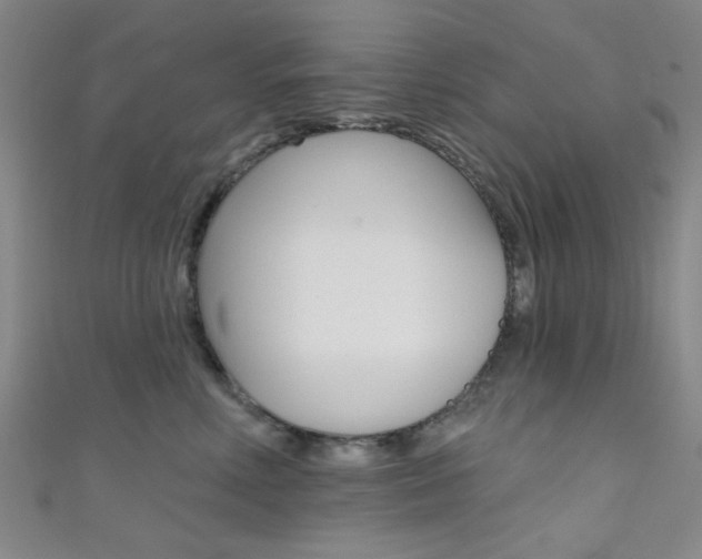 X0000111480618200907141044