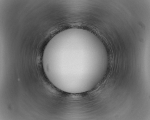 X0000111480619200907141044