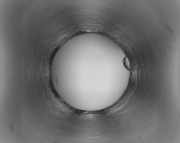 X0000111480620200907141044