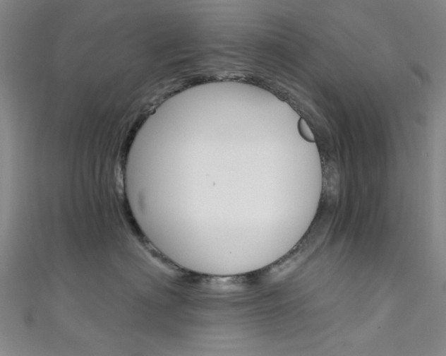 X0000111480622200907141044