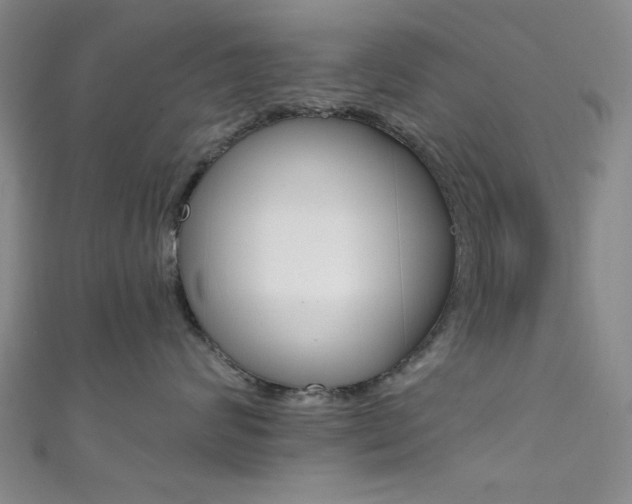 X0000111480624200907141044