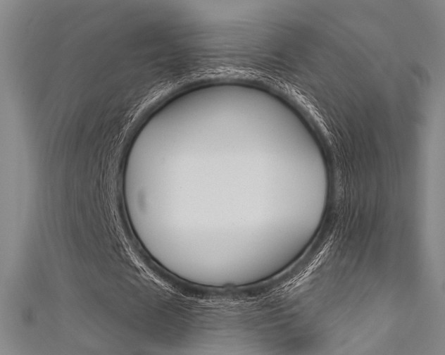 X0000111480625200907141043