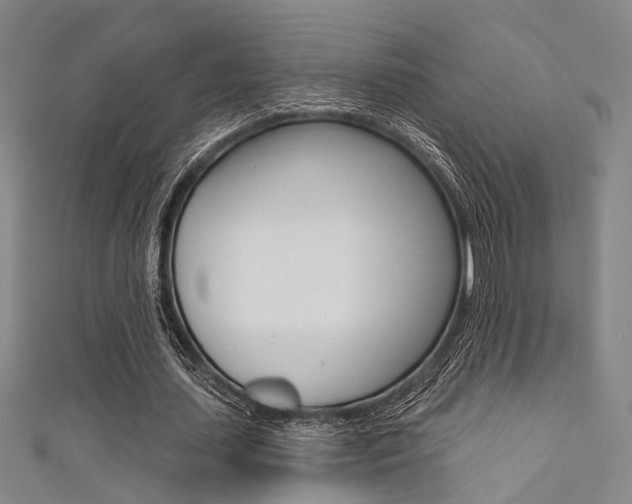 X0000111480627200907141043