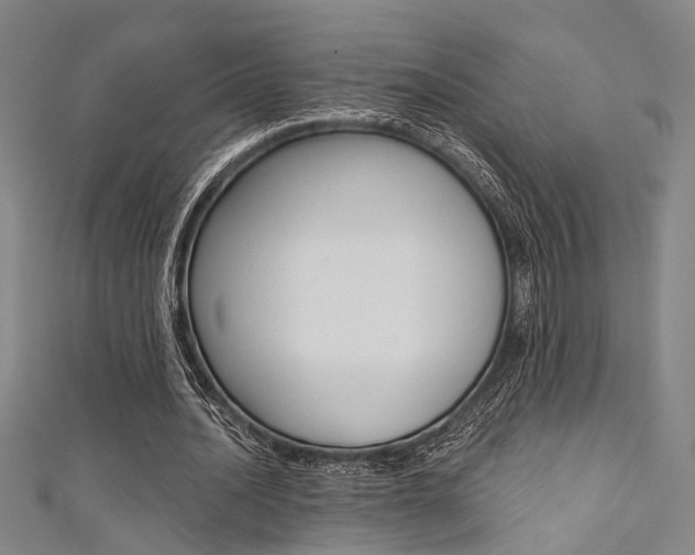 X0000111480628200907141043