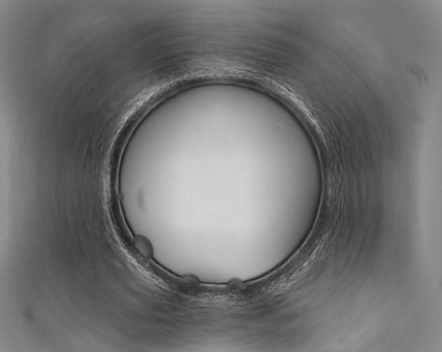 X0000111480629200907141043