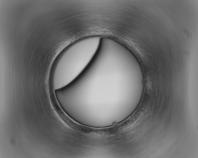 X0000111480630200907141043