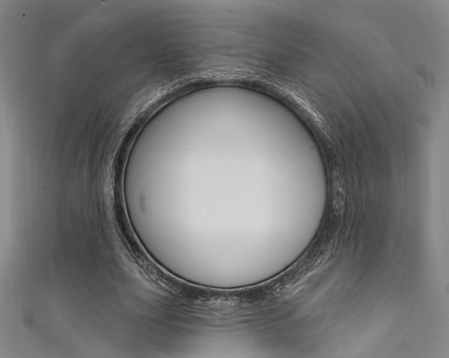 X0000111480631200907141043