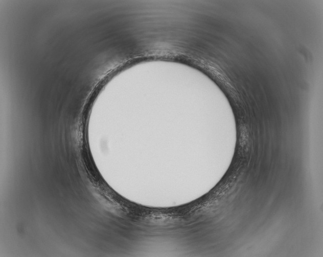 X0000111480632200907141043