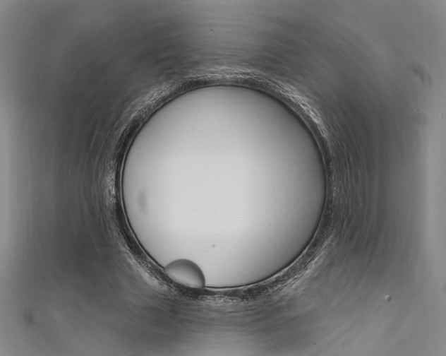 X0000111480633200907141043