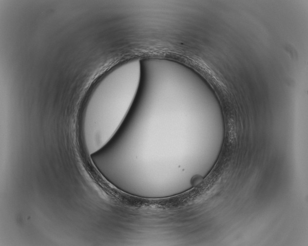 X0000111480634200907141043