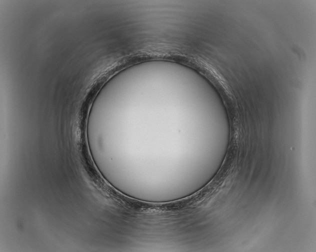 X0000111480635200907141043