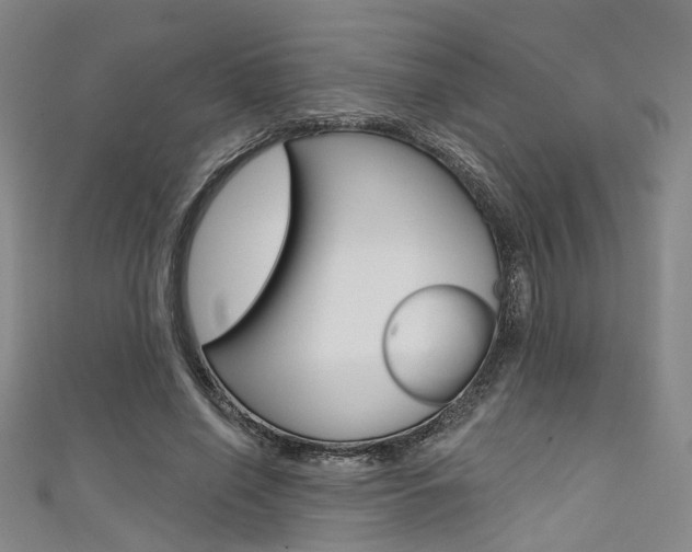 X0000111480638200907141043