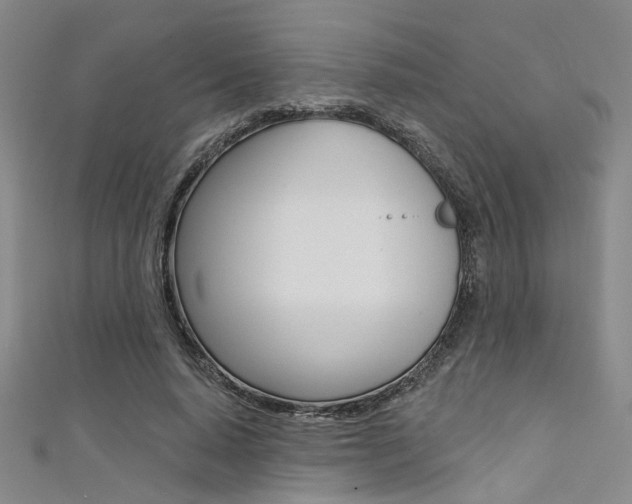 X0000111480640200907141043