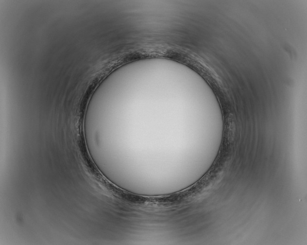 X0000111480641200907141043