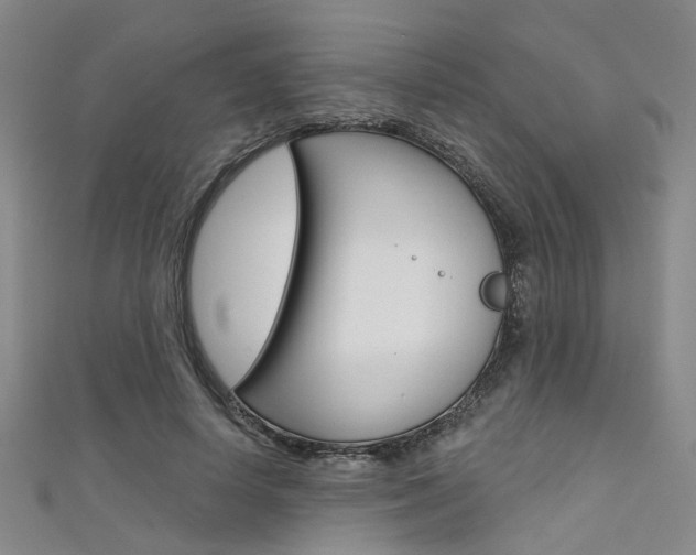X0000111480642200907141043