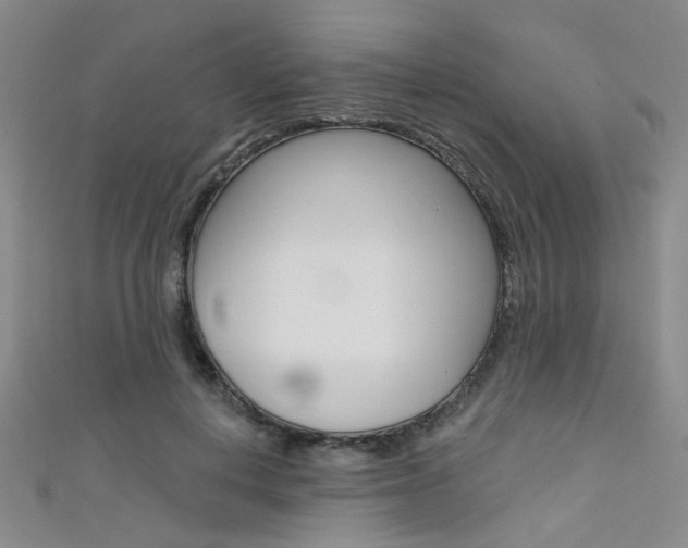 X0000111480648200907141043