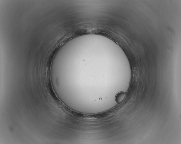 X0000111480650200907141043