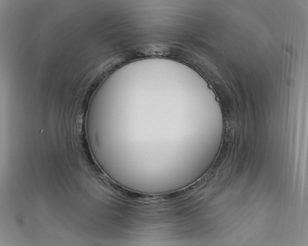 X0000111480652200907141043