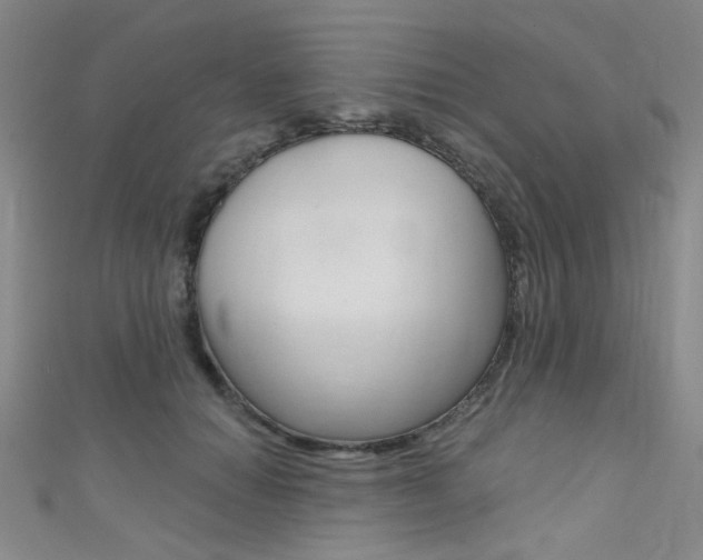 X0000111480654200907141043