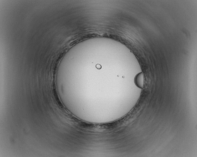X0000111480656200907141043