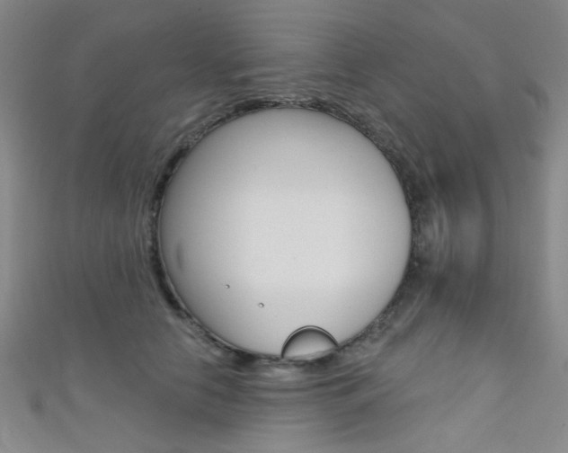 X0000111480658200907141044