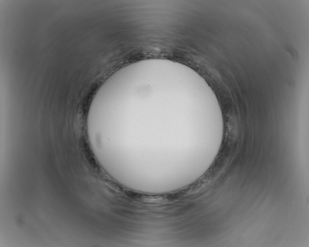 X0000111480659200907141044