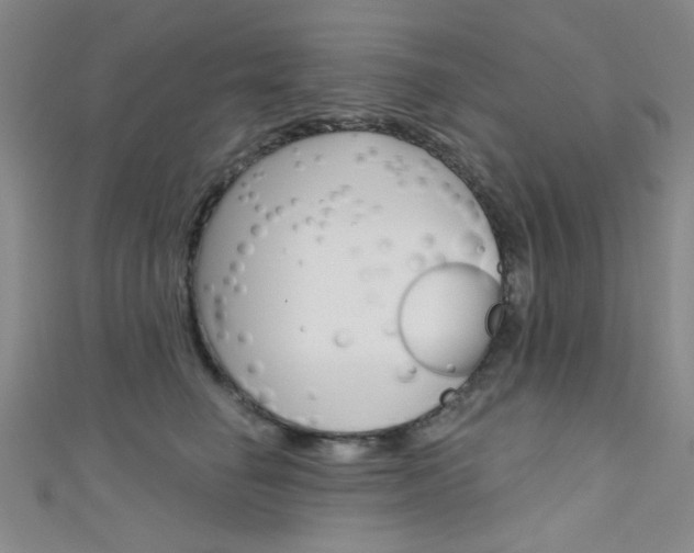 X0000111480662200907141044